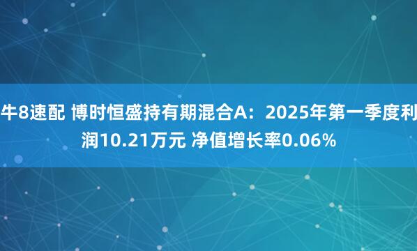 牛8速配 博时恒盛持有期混合A：2025年第一季度利润10.21万元 净值增长率0.06%